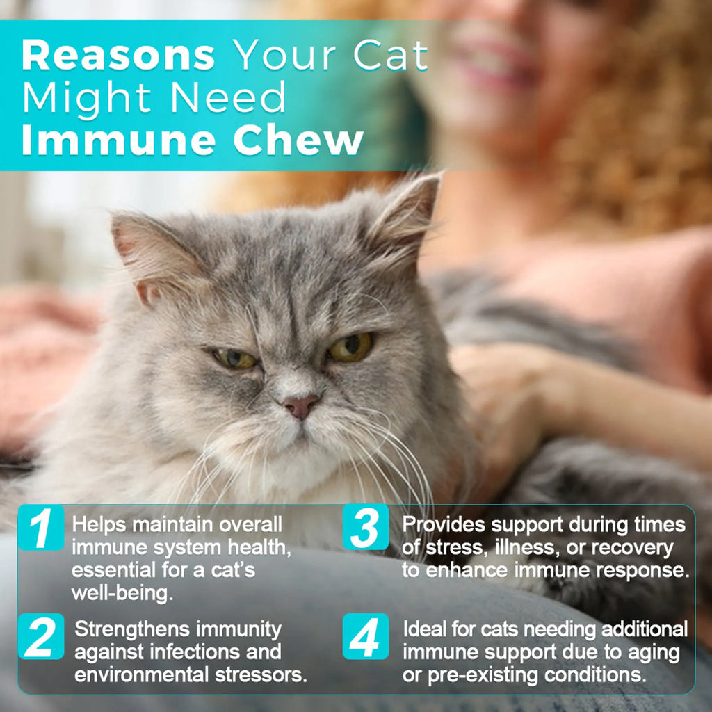 Cat Immune Support Soft Chews 60ct – Daily Immune Health Supplement for Cats