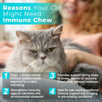 Cat Immune Support Soft Chews 60ct – Daily Immune Health Supplement for Cats