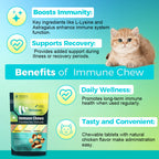 Cat Immune Support Soft Chews 60ct – Daily Immune Health Supplement for Cats