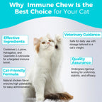 Cat Immune Support Soft Chews 60ct – Daily Immune Health Supplement for Cats