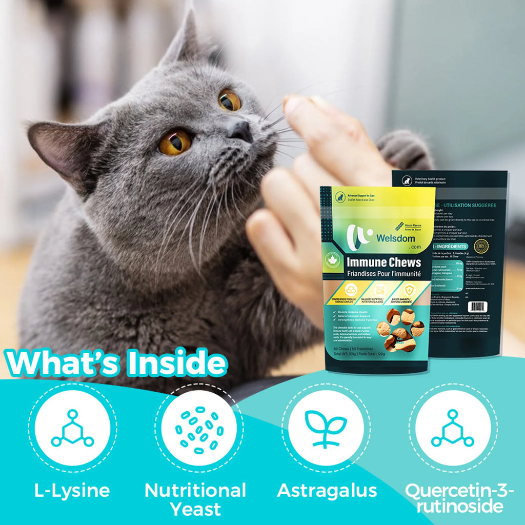 Cat Immune Support Soft Chews 60ct – Daily Immune Health Supplement for Cats